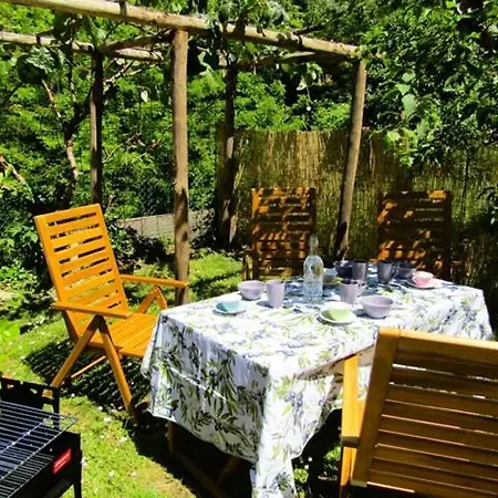 Holiday home Il Frantoietto Nocchi